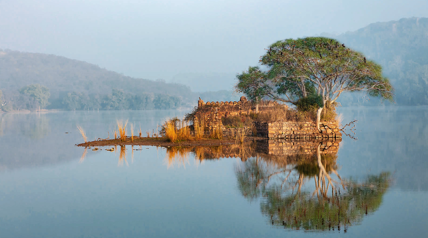 Ranthambore Padam Talao